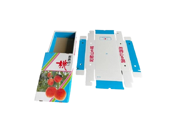 C式段ボール